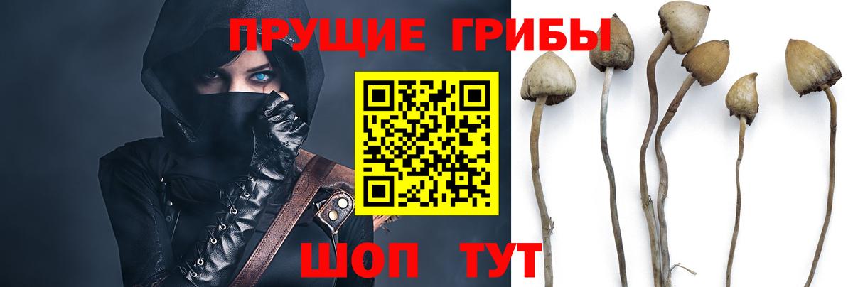 Йошкар-Ола  Псилоцибиновые грибы мицелий  Вход с VPN 